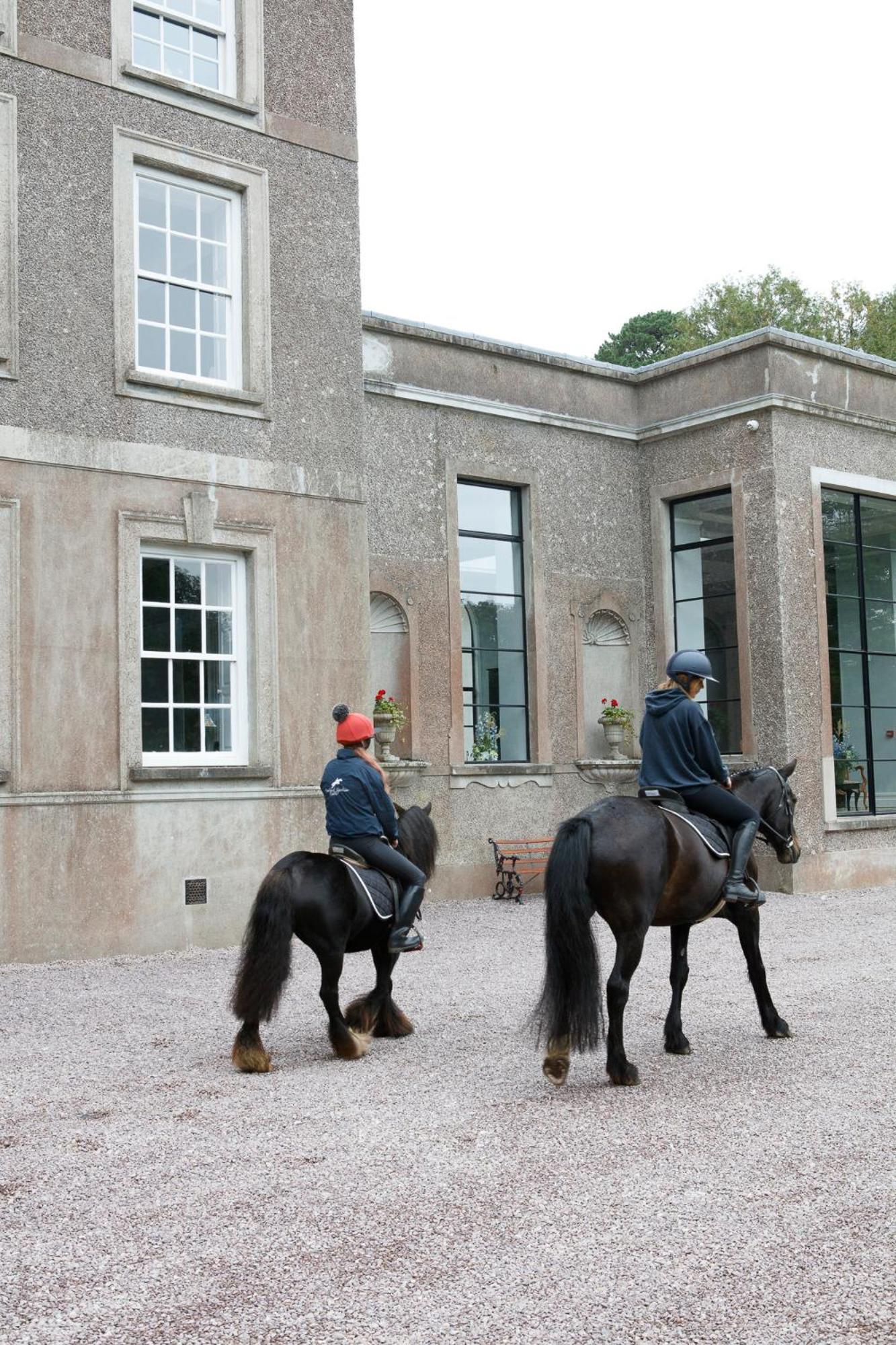 Dripsey Castle Estate Villa Cork Eksteriør bilde