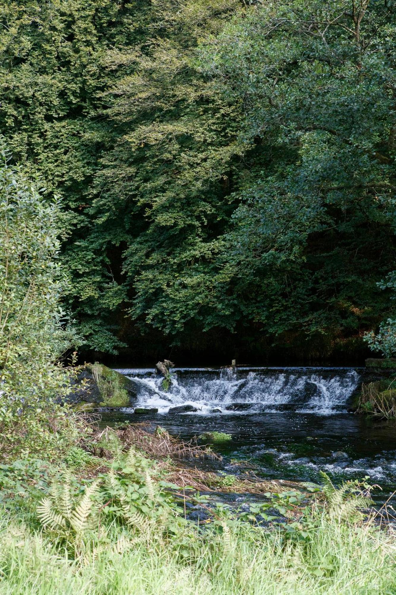 Dripsey Castle Estate Villa Cork Eksteriør bilde