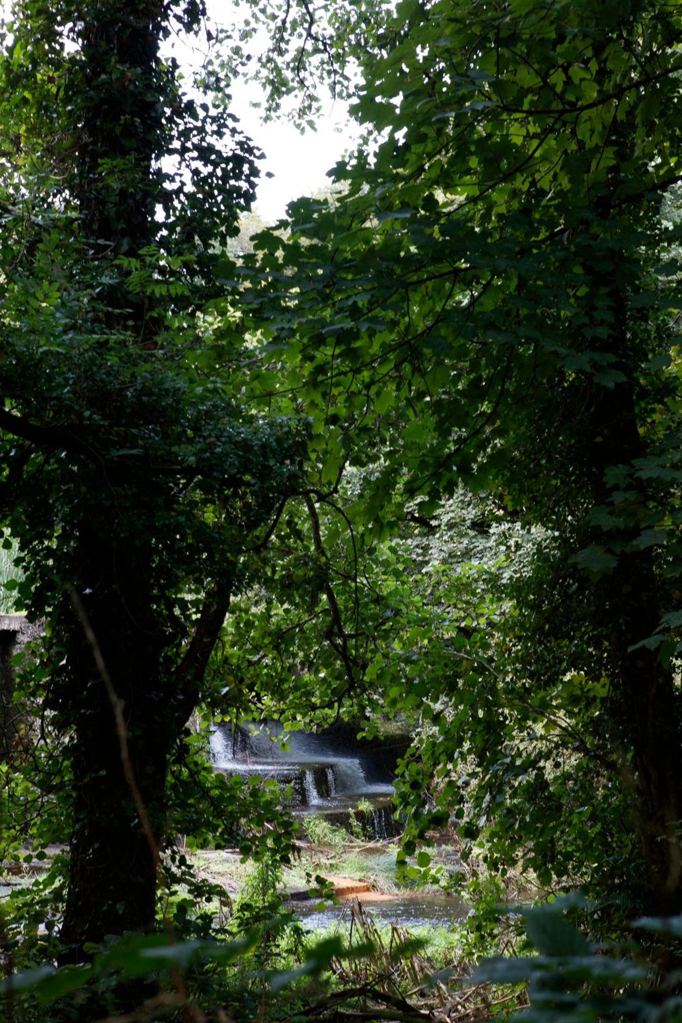 Dripsey Castle Estate Villa Cork Eksteriør bilde