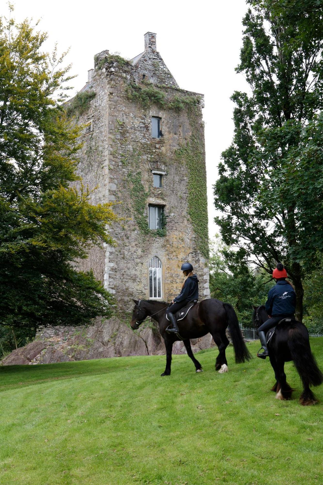 Dripsey Castle Estate Villa Cork Eksteriør bilde