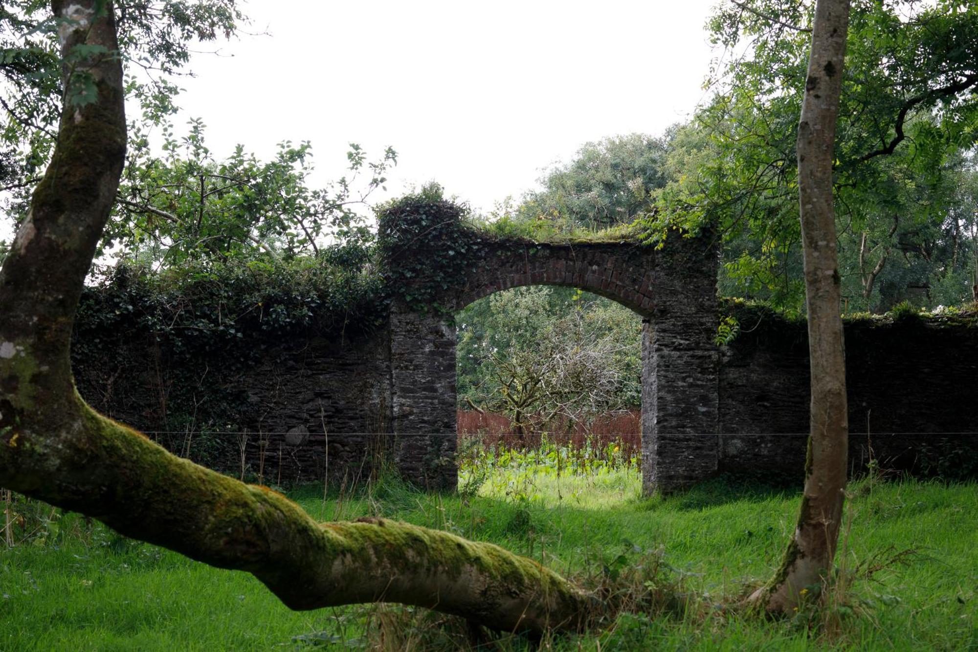 Dripsey Castle Estate Villa Cork Eksteriør bilde
