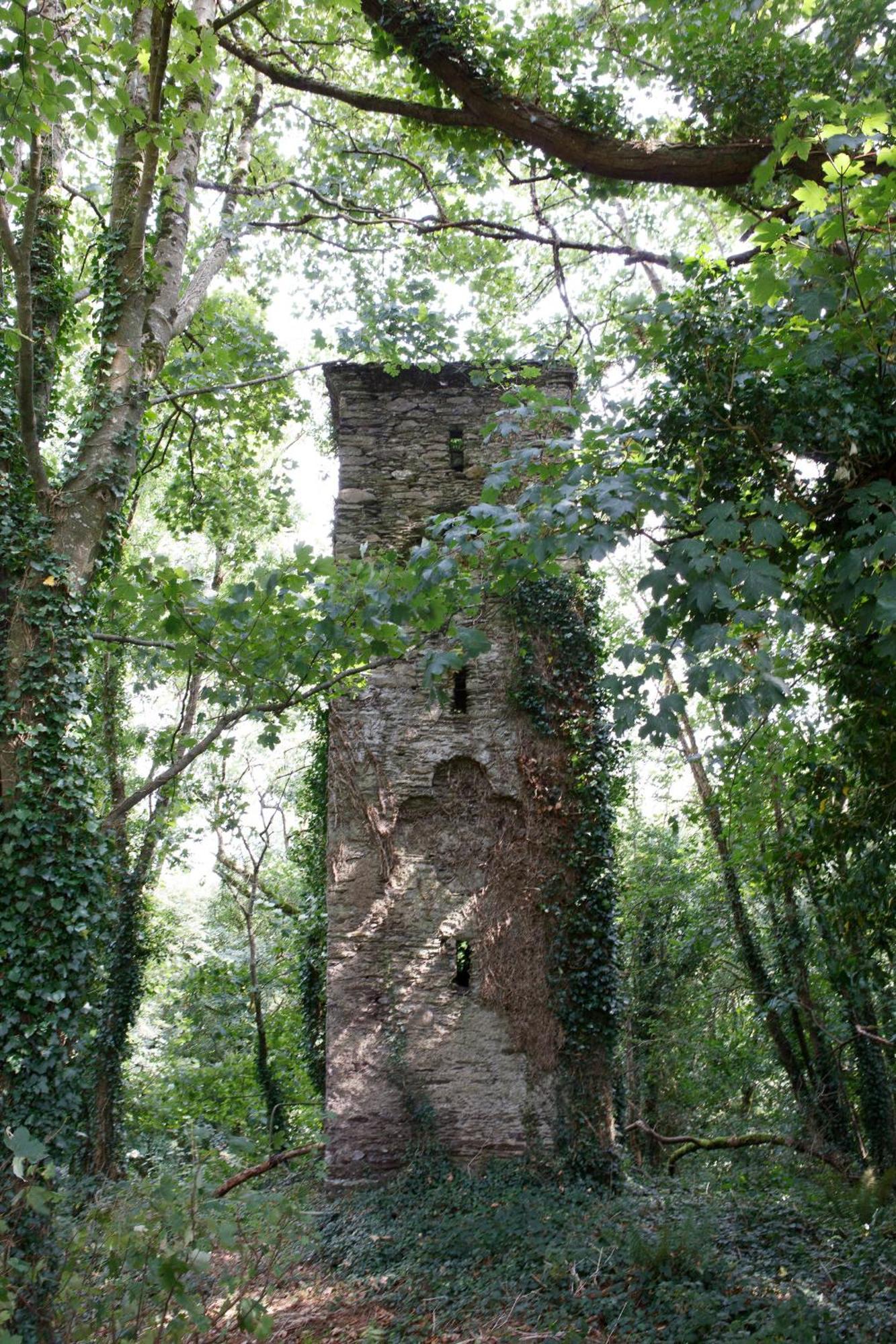 Dripsey Castle Estate Villa Cork Eksteriør bilde