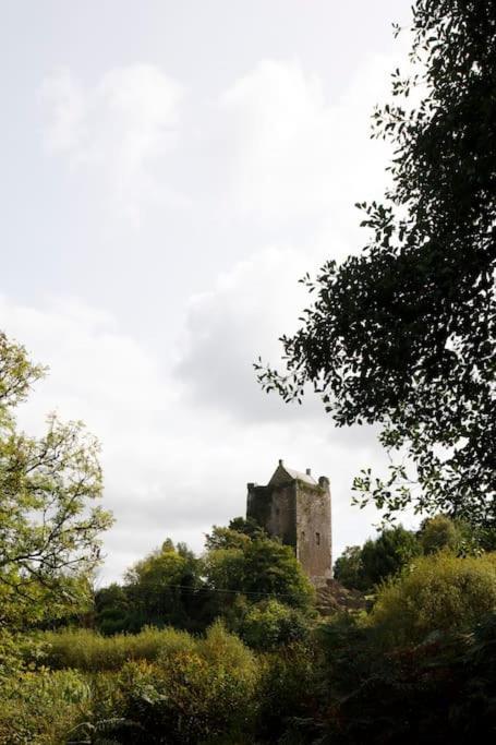 Dripsey Castle Estate Villa Cork Eksteriør bilde